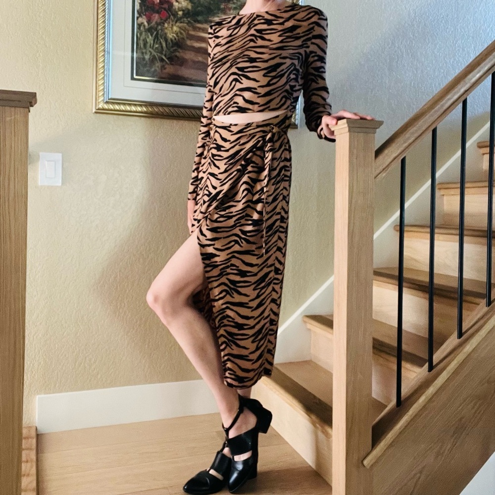 Reformation Maurita Tiger Stripe Print Dress - Picture 12 of 12